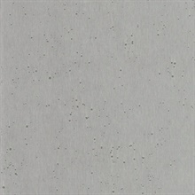 Light Silver Burnished Patina Metallic Wallpaper