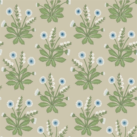Light Taupe & Blue Meadow Flowers Wallpaper