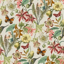Light Taupe &amp; Coral Butterflies with Floral &amp; Leaf Wallpaper
