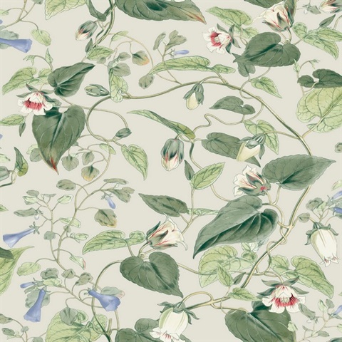 BL1713 | Light Taupe Drawn Moon Flower & Leaf Wallpaper