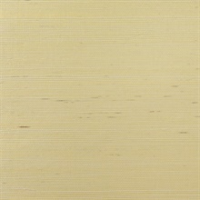 Lillian August Gold Grasscloth Wallpaper