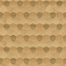 Linzhi Copper Sisal Grasscloth Inlay Wallpaper