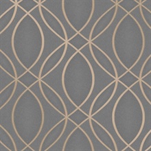 Lisandro Taupe Geometric Lattice