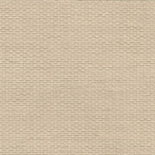 Lok Beige Grasscloth