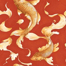 Red Koi Fish