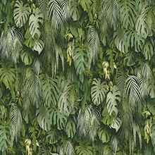 Luana Green Tropical Forest Plants Wallpaper