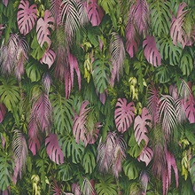 Luana Pink & Green Tropical Forest Plants Wallpaper