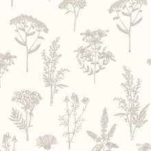Luminous Botanical Sketch Silver Metallic Wallpaper