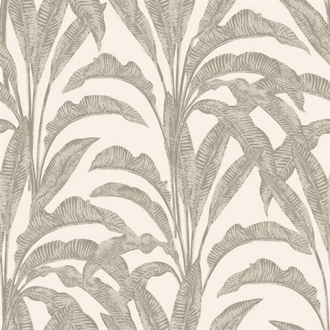 Luxe Tropical Palm Beige and Cream Wallpaper