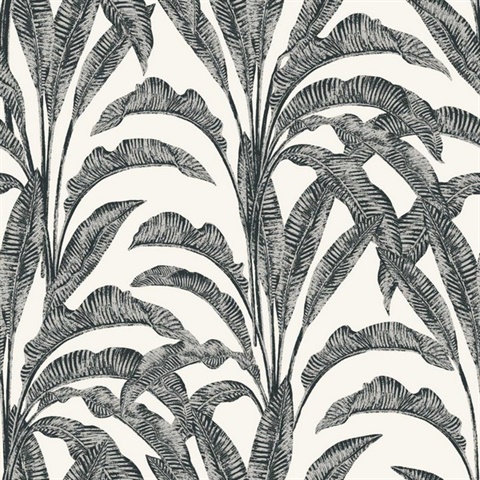 Luxe Tropical Palm Grey and Cream Wallpaper