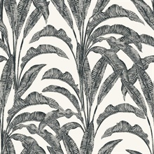 Luxe Tropical Palm Grey and Cream Wallpaper