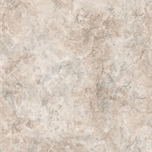 Luxurious Marble Taupe Wallpaper