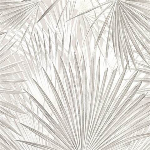 Macduff Silver Palm Fronds Wallpaper