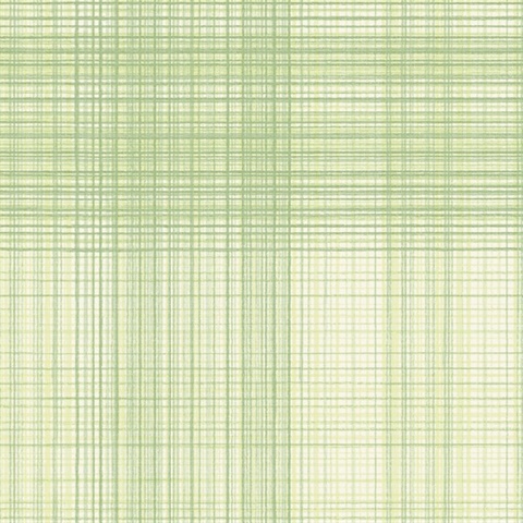 Madras Green Plaid Textured Wallpaper