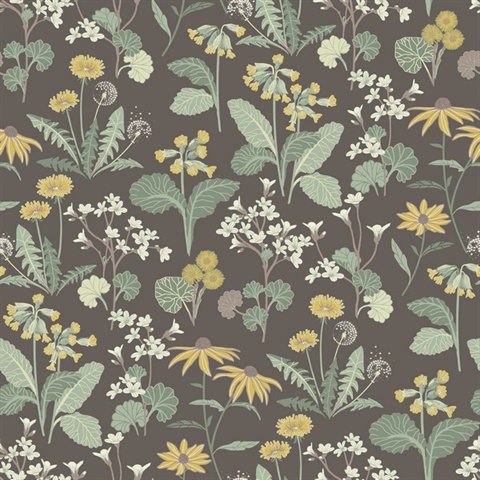 https://www.wallpaperboulevard.com/Images/product/magdalena-charcoal-dandelion-floral-wal-ikqp-l.jpg