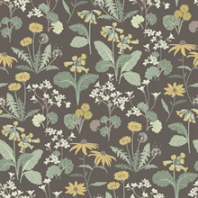 Magdalena Charcoal Dandelion Floral Wallpaper