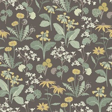 Magdalena Charcoal Dandelion Floral Wallpaper