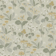 Magdalena Light Green Dandelion Floral Wallpaper