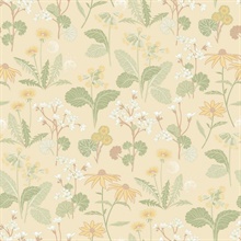 Magdalena Light Yellow Dandelion Floral Wallpaper