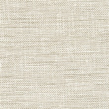 Maguey Linen Wall Protection
