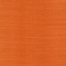 Maguey Sisal Clementine Grasscloth Wallpaper