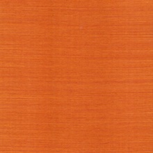 Maguey Sisal Clementine Grasscloth Wallpaper