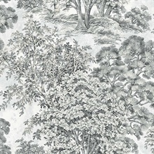 Majestic Trees Pencil Wallpaper