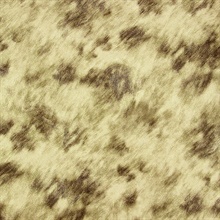 Manarola Light Brown Cow Wallpaper