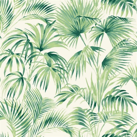 Manaus Green Palm Frond Tropical Leaf Watercolor Wallpaper