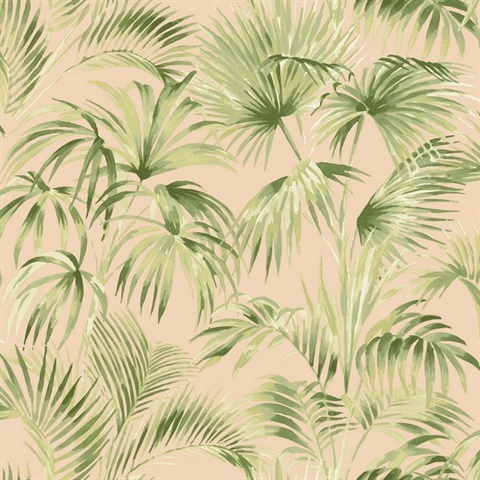 Manaus Peach Palm Frond Tropical Leaf Watercolor Wallpaper