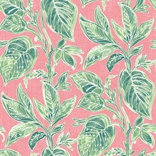 Mangrove Pink Botanical Leaf Wallpaper