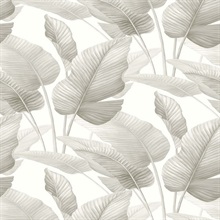 Mantra Gloss White Wallpaper