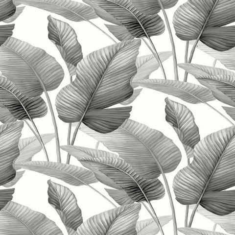 Mantra Pebble Wallpaper