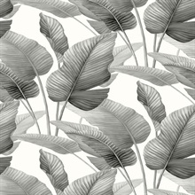 Mantra Pebble Wallpaper