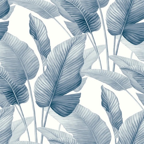 Mantra Rainy Sky Wallpaper