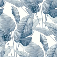 Mantra Rainy Sky Wallpaper