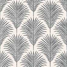 Marco Allover Black & Beige Palm Grasscloth Wallpaper