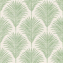 Marco Allover Green Palm Grasscloth Wallpaper