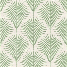 Marco Allover Green Palm Grasscloth Wallpaper