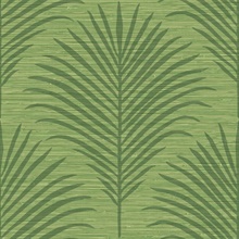 Marco Dark Green Palm Grasscloth Wallpaper