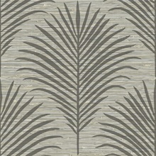 Marco Luxurious Taupe Palm Grasscloth Wallpaper
