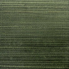 Matte Dark Green Wallquest BX10029 Grasscloth Paint Wallpaper