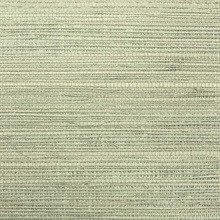Matte Green Wallquest BX10031 Grasscloth Paint Wallpaper