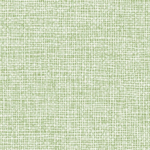 Green Fabric Texture Background  Textured background, Texture