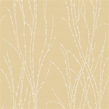 Meadow Grasses Tuscan Sand Wallpaper