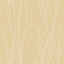 Meadow Grasses Tuscan Sand Wallpaper