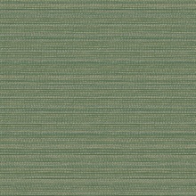 Meadow Green Tick Mark Texture Peel & Stick Wallpaper