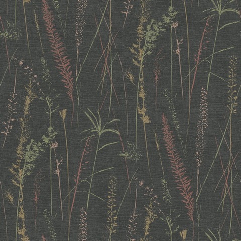 Meadow Splendor Black Botanical Wallpaper