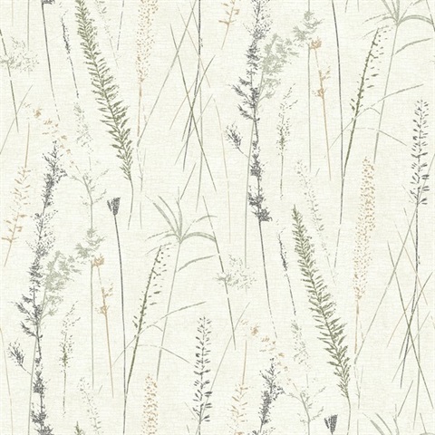 Meadow Splendor Charcoal Botanical Wallpaper