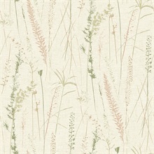 Meadow Splendor Salmon Botanical Wallpaper